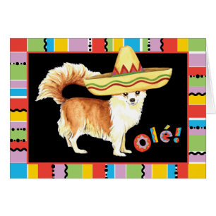 Fiesta Long Coat Chihuahua Wenskaart