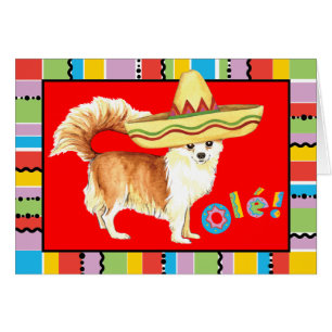 Fiesta Long Coat Chihuahua Wenskaart