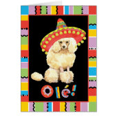 Fiesta Miniature (Devant)