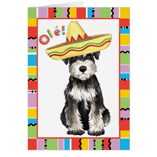 Fiesta Miniature Schnauzer Wenskaart (Voorkant)