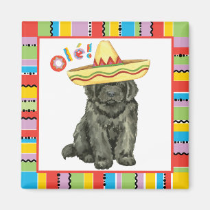 Fiesta Newfoundland Magnet Magneet