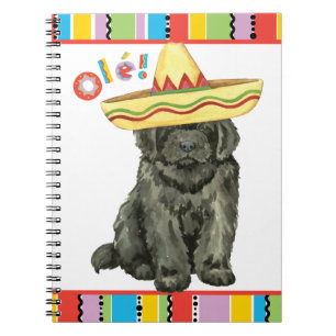 Fiesta Newfoundland Notitieboek