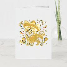 Fiesta Papillon Hond met Sombrero en Sarape