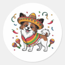 Fiesta Papillon Hond met Sombrero en Sarape