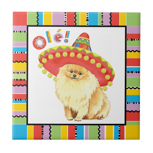 Fiesta Pomeranian Tegeltje (Voorkant)