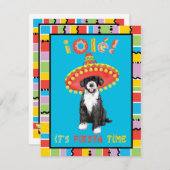 Fiesta PWD Kaart (Voorkant / Achterkant)