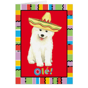 Fiesta Samoyed Wenskaart