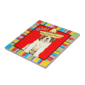 Fiesta St Bernard Tegeltje (Zijkant)