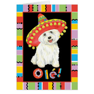 Fiesta Westie Wenskaart