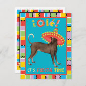 Fiesta Xolo Kaart (Voorkant / Achterkant)