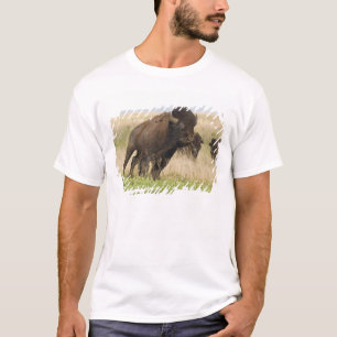 Fiesty jonge bizenkop in het Tallgras T-shirt