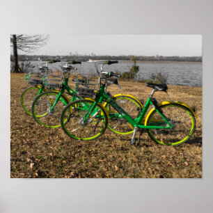 Fiets-drieling Poster