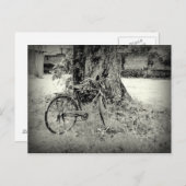 Fiets onder een boom briefkaart (Voorkant / Achterkant)
