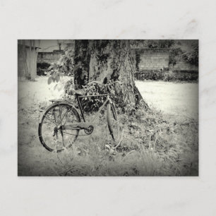 Fiets onder een boom briefkaart