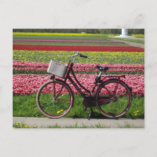 Fietsen op Tulips Field DIY Briefkaart