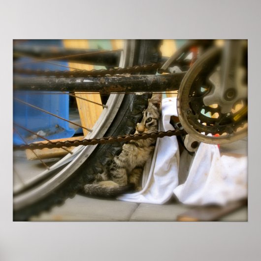 Fietsencontainer 2 poster (Voorkant)