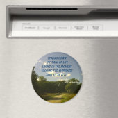 FIETSMAGNEET MAGNEET (Insitu (Vaatwasser))