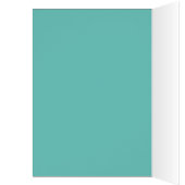  fietsmeisje in solide blauwgroen (Binnen (Links))