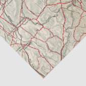 Fietswegen in New York en Conneticut 12 Tissuepapier (Detail)