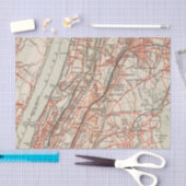 Fietswegen in New York en Conneticut 3 Tissuepapier (Craft)