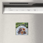 Fieus Magneet (Insitu (Vaatwasser))