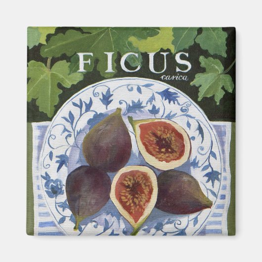 Fieus Magneet (Voorkant)