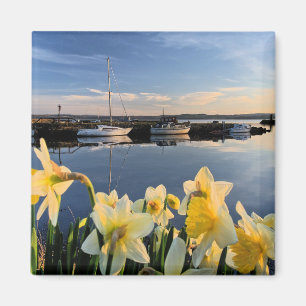 Fife, Schotse schilderachtig foto Magneet