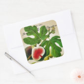 Fig boomgaard bruiloft Vierkante Sticker (Envelop)
