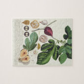 Fig, gegraveerd door Johann Jakob Haid (1704-67) b Legpuzzel (Horizontaal)