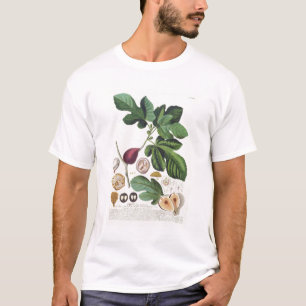 Fig, gegraveerd door Johann Jakob Haid (1704-67) b T-shirt