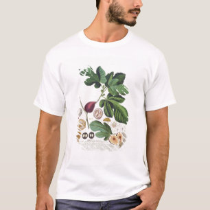 Fig, gegraveerd door Johann Jakob Haid (1704-67) b T-shirt