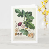 Fig., het bord dat door van Johann wordt Kaart (Gele Bloem)