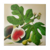  fig illustratie tegeltje (Voorkant)