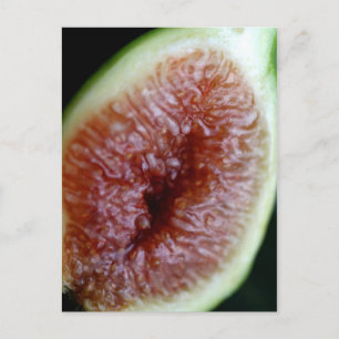 Fig Inside Briefkaart