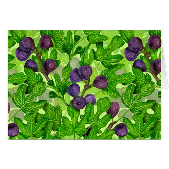 Figes 2 (Devant horizontal)