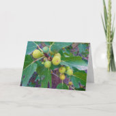 Figes blanches sur la carte Arbre (Devant)