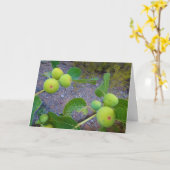 Figes blanches sur la carte Arbre (Fleur jaune)