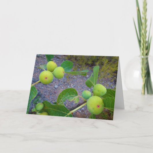 Figes blanches sur la carte Arbre (Devant)