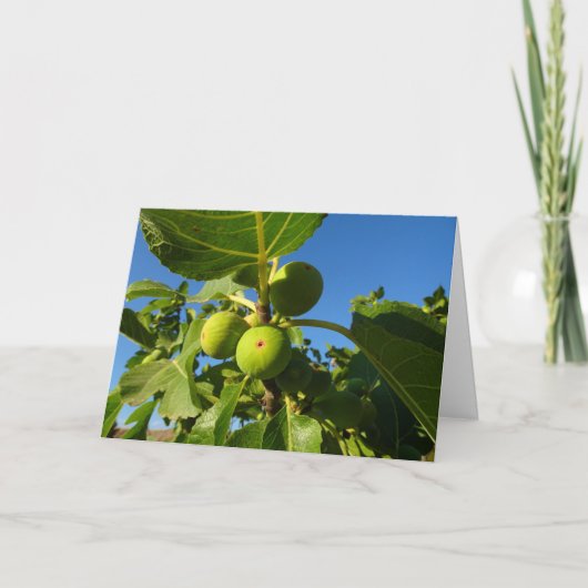 Figes blanches sur la carte Arbre (Devant)