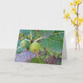 Figes blanches sur la carte Arbre (Fleur jaune)