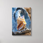 Fighting Conch op een gebroken schoonheid Canvas Afdruk (Voorkant)