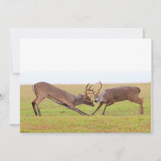 Fighting Deer Invitation Kaart (Voorkant)