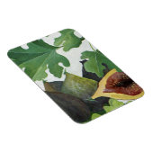 Figs 2013 magneet (Rechterzijde)