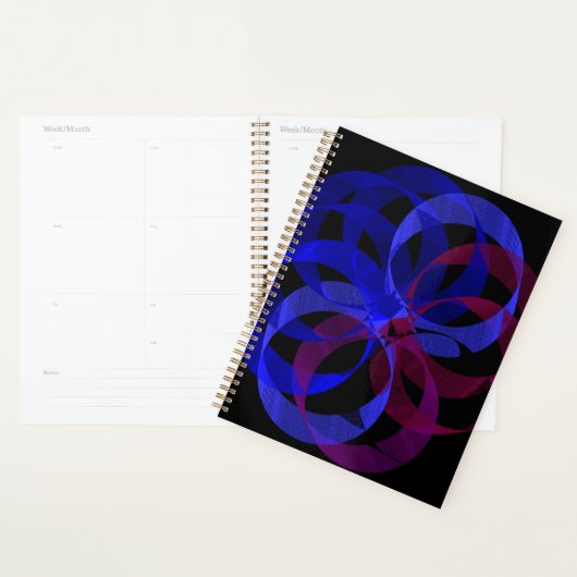 Figure 8 Geometric Planner (Display)