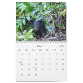 Fiji 2010 kalender (Mar 2026)