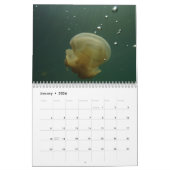 Fiji - Een paradijs voor de muur van 2018 in een d Kalender (Jan 2026)