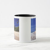 Fiji-eilanden, Tavarua. Dit strand op Tavarua, Mok (Midden)