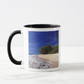 Fiji-eilanden, Tavarua. Dit strand op Tavarua, Mok (Links)