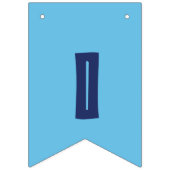 Fiji Flag Banner International Day Decorations (Derde vlag)