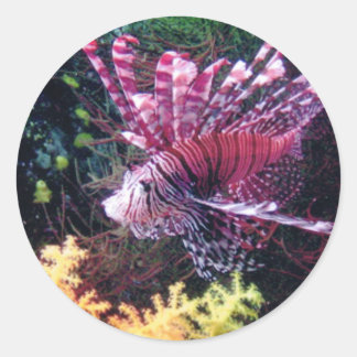 Fiji Lion Ronde Sticker